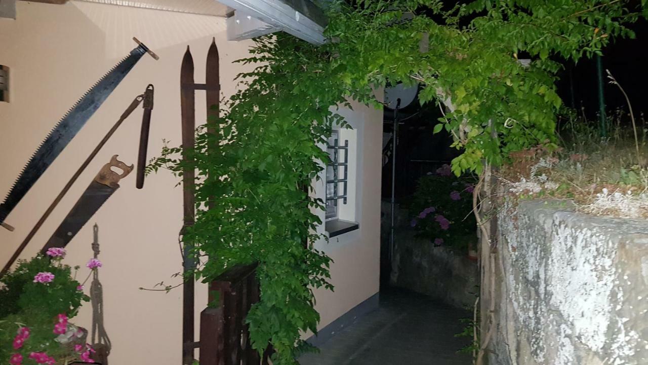 Ferienwohnungen "Gruendelrast" Prossen Dış mekan fotoğraf